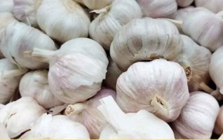 लसूण @ ४०० रुपये किलो !  स्वयंपाकातून लसणाची फोडणीचं गायब