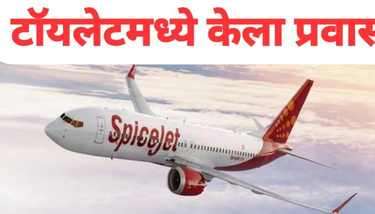 महिला प्रवाशाला चक्क विमानाच्या टॉयलेटमध्ये बसून प्रवास करावा लागला