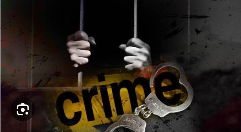 ‘हम पंचगव्हाण के शेर’ म्हणतं धुमाकूळ घालणाऱ्या आरोपींचा जामीन अर्ज फेटाळला