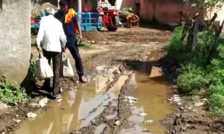 अकोलेकर ‘साथी’ च्या विळख्यात ! तातडीने उपाययोजनांची गरज