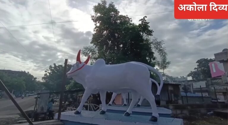 अकोल्यात पोळ्याला शेतकरी सन्मान व  उत्कृष्ट बैलजोडी सजावट स्पर्धा
